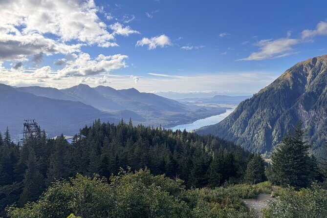Juneau Top Sight Seeing Group Tour - Insights from Travelers’ Feedback