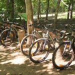 Jungle Bike Tour - The Itinerary in Detail
