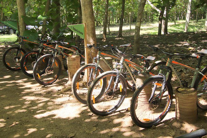 Jungle Bike Tour - The Itinerary in Detail