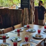 Jungle Tour Puerto Maya in Cancun - A Closer Look at the Itinerary