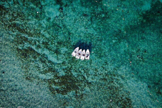 Jungle Tour & Snorkel at Punta Nizuc Reef , Underwater museum - Who Should Consider This Tour?