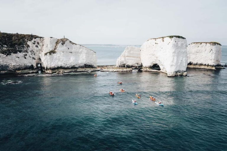 Jurassic Coast Kayaking Tour to Old Harry Rocks - What You Can Expect During the Tour