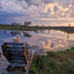 Jurmala: Kemeri National Park Sunset Trip - Authentic Experiences from Fellow Travelers