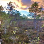 Jurmala,Kuldiga,Ragaciems Beach, Kemeri N park, Food & Drink - FAQs