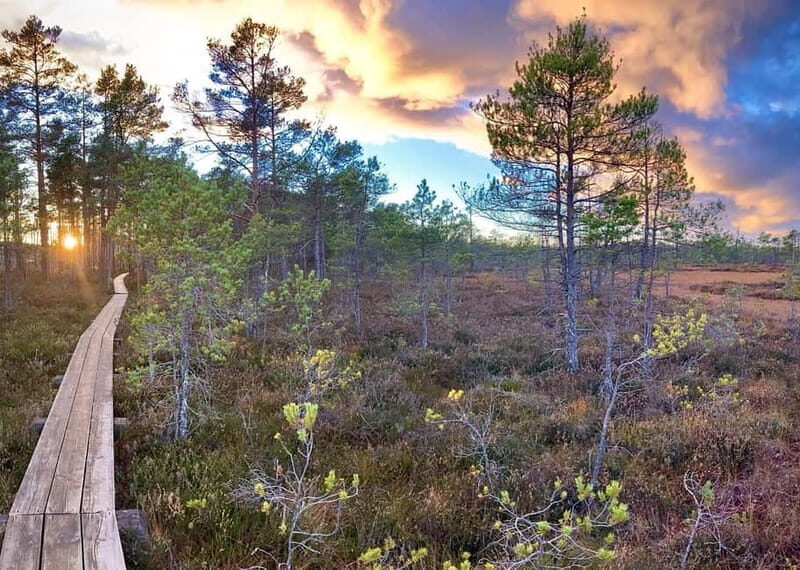 Jurmala,Kuldiga,Ragaciems Beach, Kemeri N park, Food & Drink - FAQs