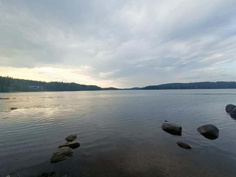 Jyväskylä: Guided Forest Walk or Hike with Campfire - The Experience: What to Expect Step-by-Step