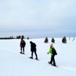 Jyvaskyla: Snowshoeing Tour with Campfire Snack - The Campfire and Traditional Finnish Snacks