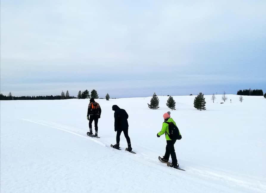 Jyvaskyla: Snowshoeing Tour with Campfire Snack - The Campfire and Traditional Finnish Snacks