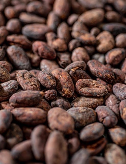 KAIACAO Bean to Bar and Design your own chocolate experience - What Makes This Tour Special?