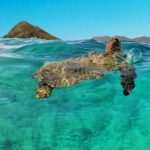 Kailua 2-Hour Guided Kayaking Excursion, Oahu - The Itinerary in Detail