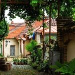 kakaheti free wine bodbe sighnagi & telavi - The Experience: What You Should Know