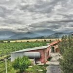 Kakheti-Wine Region Full-Day Superior Private Guided Tour & Organic Wine Tasting - What Makes This Tour Special