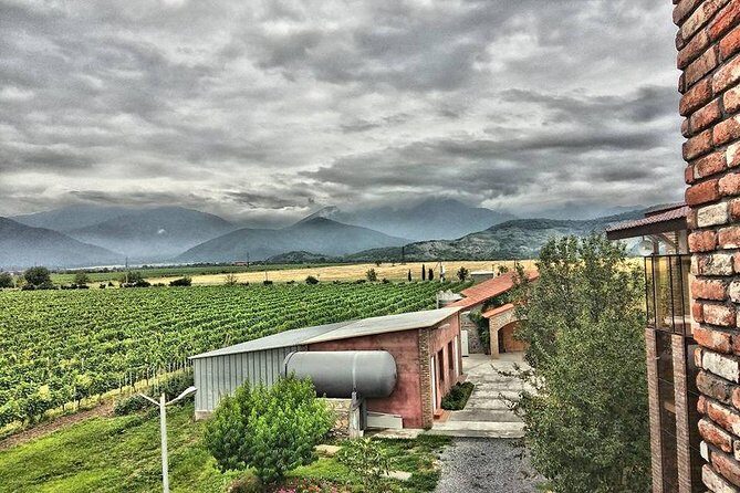 Kakheti-Wine Region Full-Day Superior Private Guided Tour & Organic Wine Tasting - What Makes This Tour Special