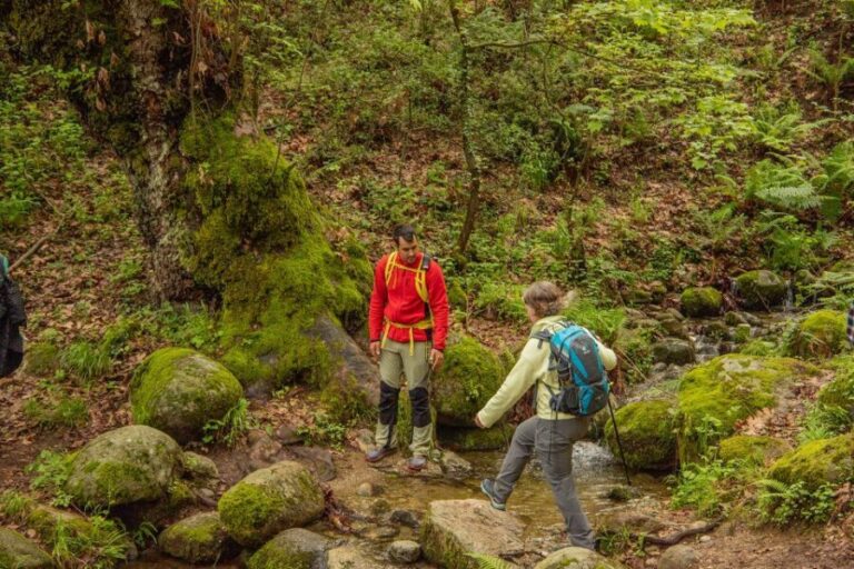 Kalabaka: Meteora Small-Group Hiking Tour w/ Monastery Visit - The Experience in Detail