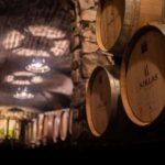Kaltgern: Wine tour and tasting of old vintages - Practical Details: What You Should Know