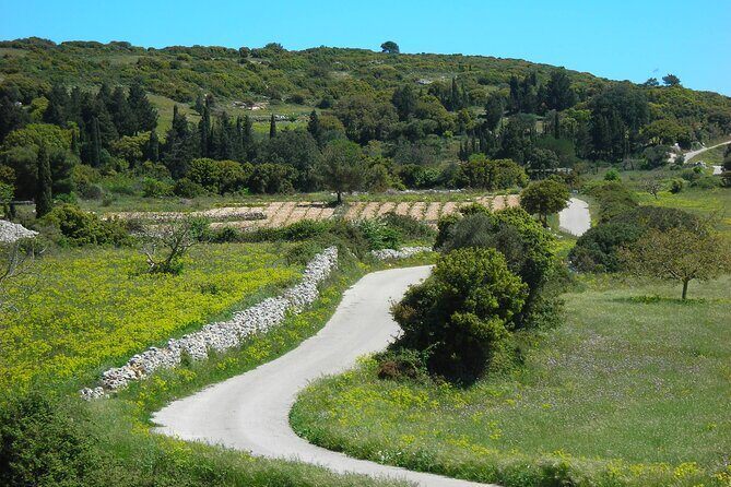 Kampi Sunset - What the Experience Looks Like: A Deep Dive