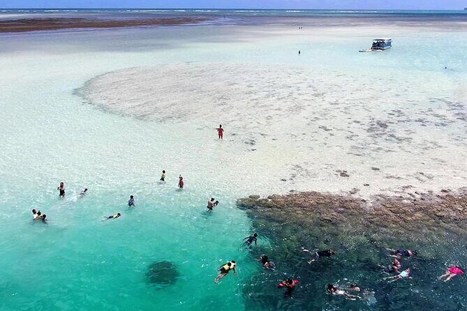 Kaneohe Sandbar Snorkeling Tour - 1st Tour - What’s Included and What’s Not