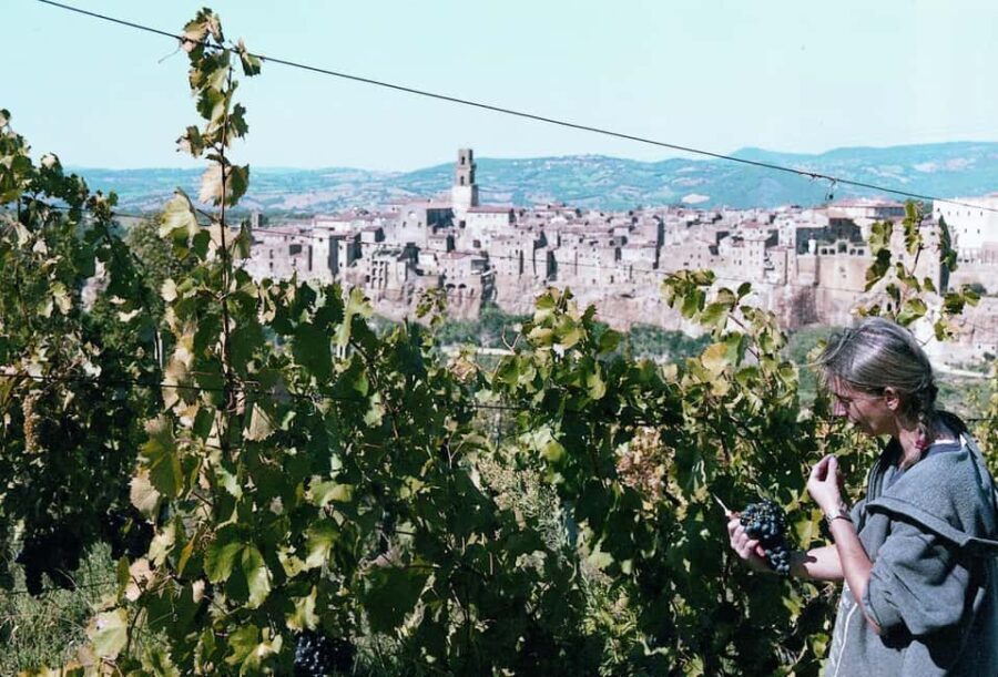 Kaos Vulcanico: volcanic wine tasting in Maremma - The Value of the Experience