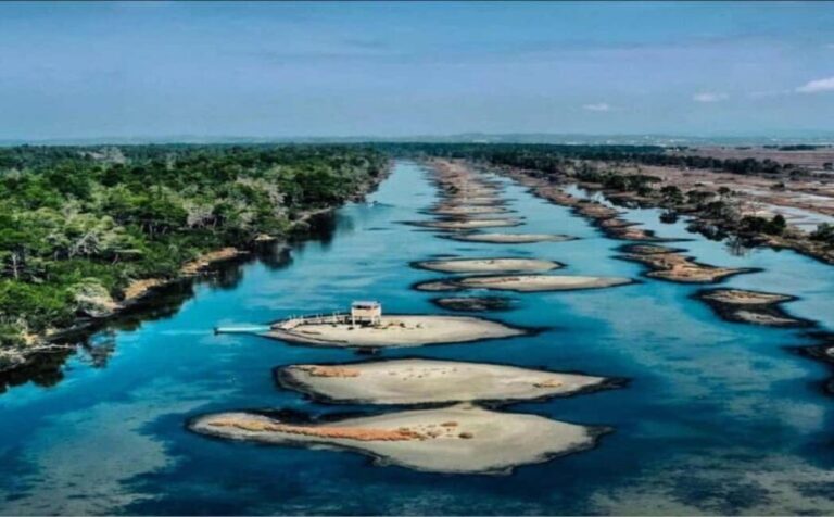 Karavasta:Bird Watching, Tower Views & Lagoon Boat Ride - What Travelers Love & What Could Be Better