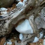 Kardamili : Hiking in Ridomo gorge - The Experience – What Travelers Are Saying