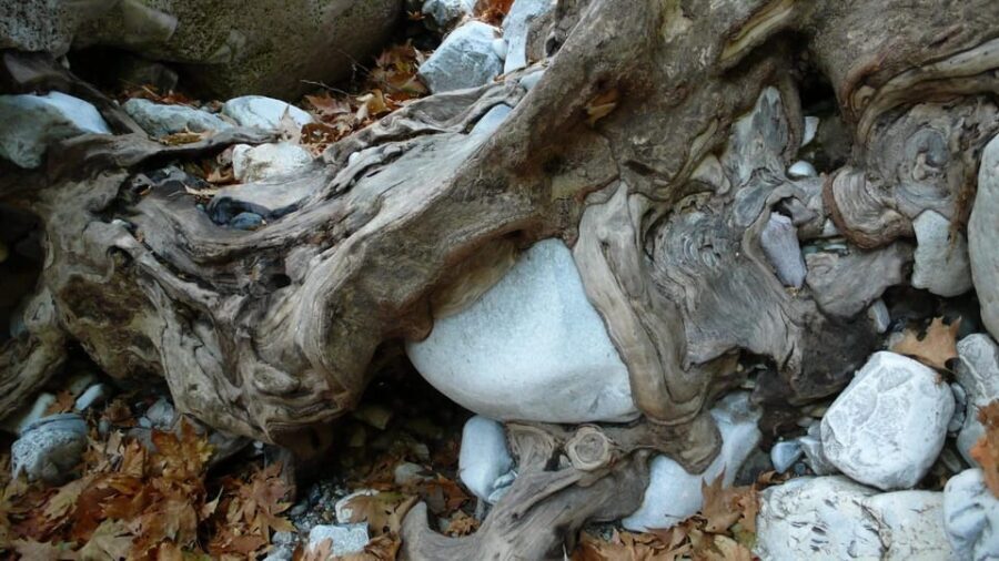 Kardamili : Hiking in Ridomo gorge - The Experience – What Travelers Are Saying