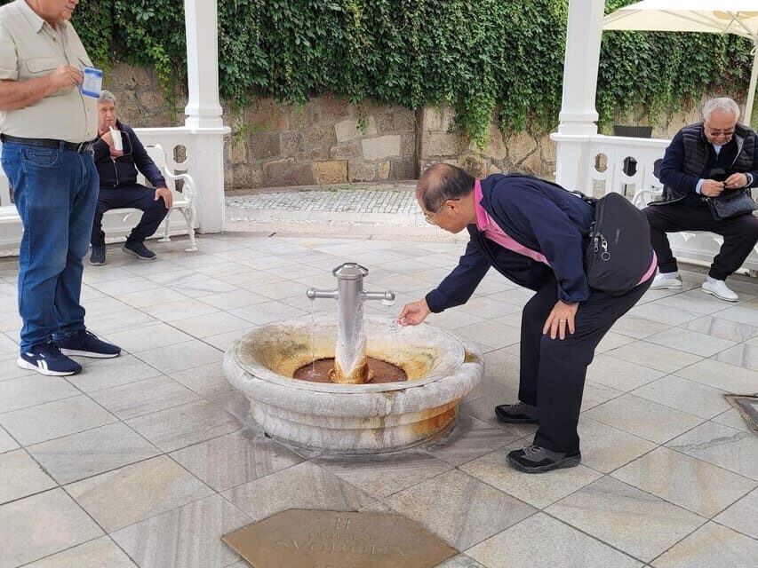 Karlovy Vary: Mineral Hot Springs Tasting and Walking Tour - Who Should Consider This Tour?
