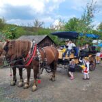 Karltejn castle by horse carriage - The Itinerary Breakdown