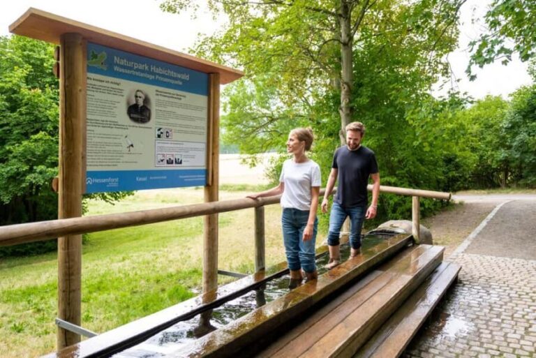 Kassel: Hercules Vital Tour - Guided Hike Through the Habichtswald - Final Thoughts: Is the Hercules Vital Tour Right for You?