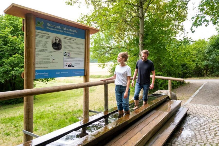 Kassel: Hercules Vital Tour - Guided Hike Through the Habichtswald - Final Thoughts: Is the Hercules Vital Tour Right for You?