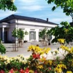 Kassel: pure relaxation and world culture - guided tour of the Bergpark - The Walk Itself and Practicalities