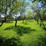 Kastela: Wine & Olive Tasting Tour w/Delicacies & Live Music - An In-Depth Look at the Tour