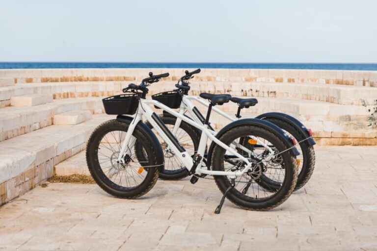 Katakolo: E-bike Rental - Who Will Love or Be Disappointed by This Experience?