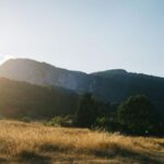 Katerini: Mount Olympus and Dion Minibus Tour - The Value Proposition