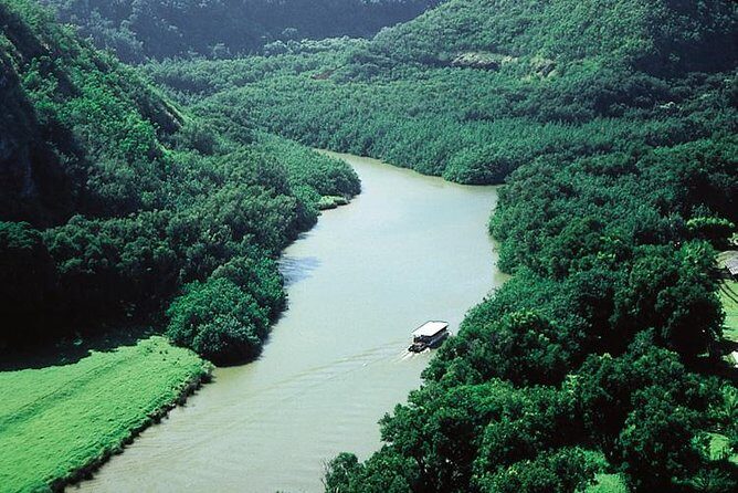 Kauai Cruise Ship Excursion: Wailua River & Fern Grotto - Who Is This Tour Best For?