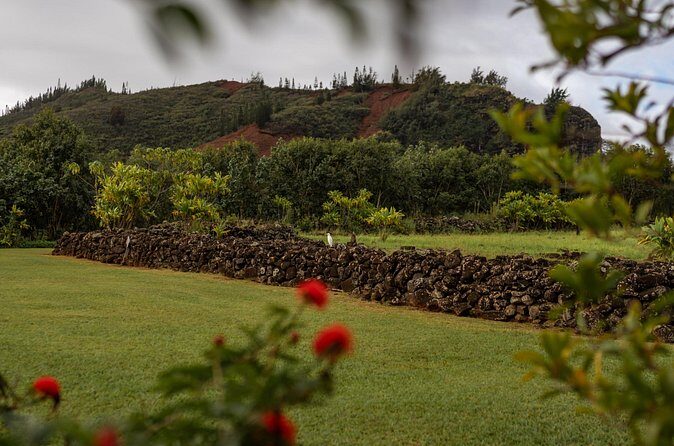 Kauai East Side SHARED Adventute - Lydgate Beach Park and Hikinaakal Heiau