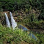 Kauai Island Private Guided Tour-Waimea Canyon from Lihue/Kapaa - Key Points