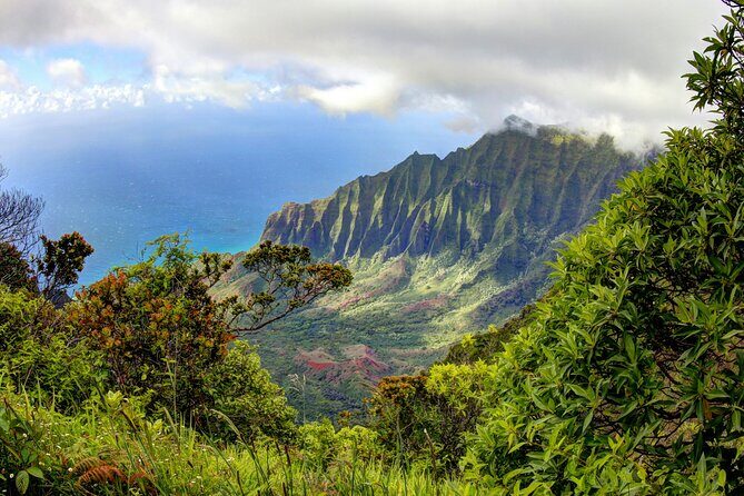 Kauai Island Private Guided Tour-Waimea Canyon from Poipu/Koloa - Who Should Consider This Tour?