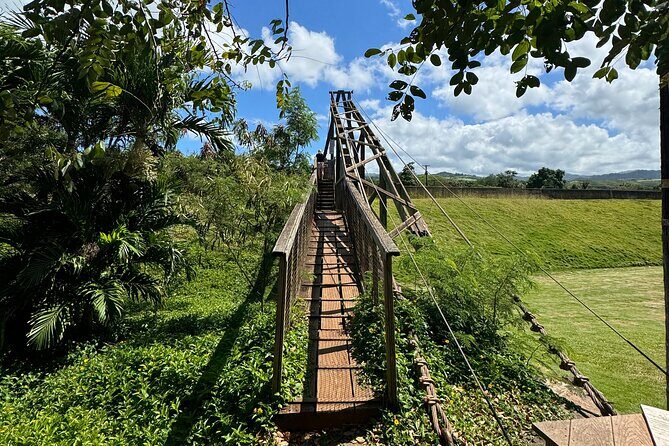 Kauai Island Tour : Journey to Waimea Canyon & More Highlights - The Real Value for Travelers