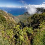 Kauai Shore Excursion - Waimea Canyon Adventure Tour - Nawiliwili - Key Points