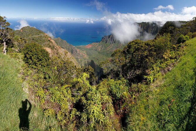 Kauai Shore Excursion - Waimea Canyon Adventure Tour - Nawiliwili - Key Points