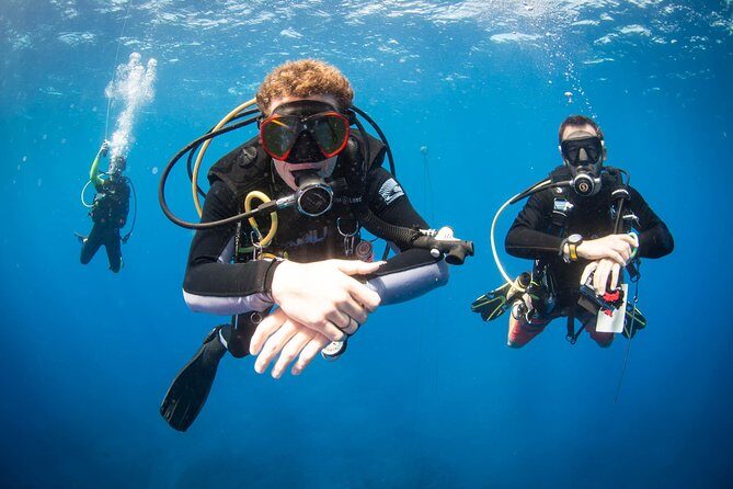 Kauai's Ultimate Discover Scuba Dive - OCEAN EXPERIENCE (1 Tank Dive) - The Value and Price Point