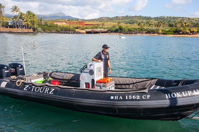 Kauai's Ultimate South Side Whale & Dolphin Zodiac Boat Adventure - What to Expect on the Tour