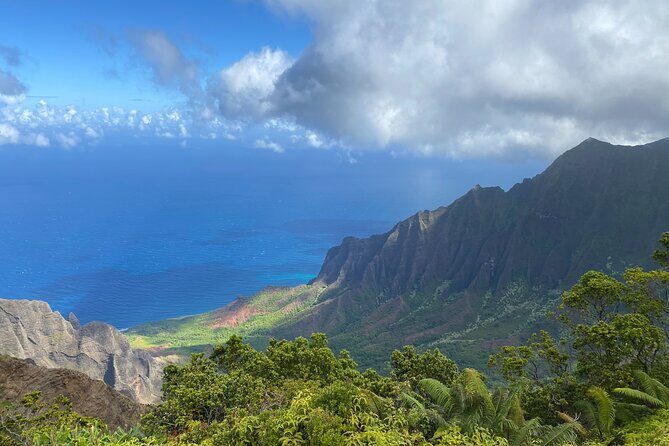 Kauai's Waimea Canyon and South Side Private Guided Tour - Who Will Enjoy This Tour?