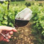 Kavala: VinoTour - Wineries Private Tour - What to Expect from the Kavala VinoTour