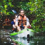 Kayak Adventure in Cancun - Wildlife and Nature Highlights
