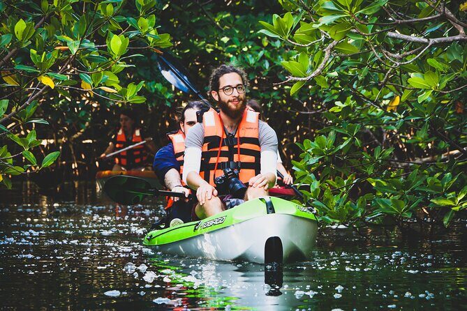 Kayak Adventure in Cancun - Wildlife and Nature Highlights