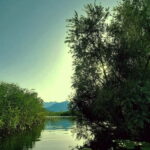 Kayak Adventure: Paddle your way through Lake Skadar - Authentic Traveler Feedback