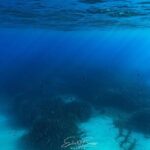 Kayak and Snorkeling Tour in the Bergeggi Island MPA - The Details of the Experience