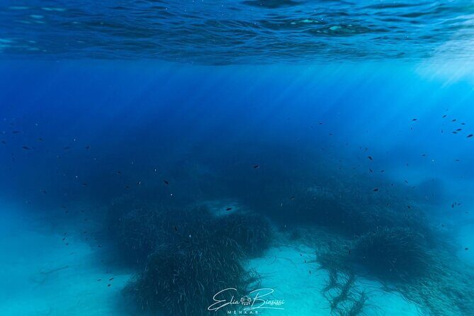 Kayak and Snorkeling Tour in the Bergeggi Island MPA - The Details of the Experience