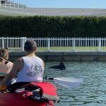 Kayak Eco Tour in Don Pedro Island - A Deep Dive Into the Kayak Eco Tour Experience